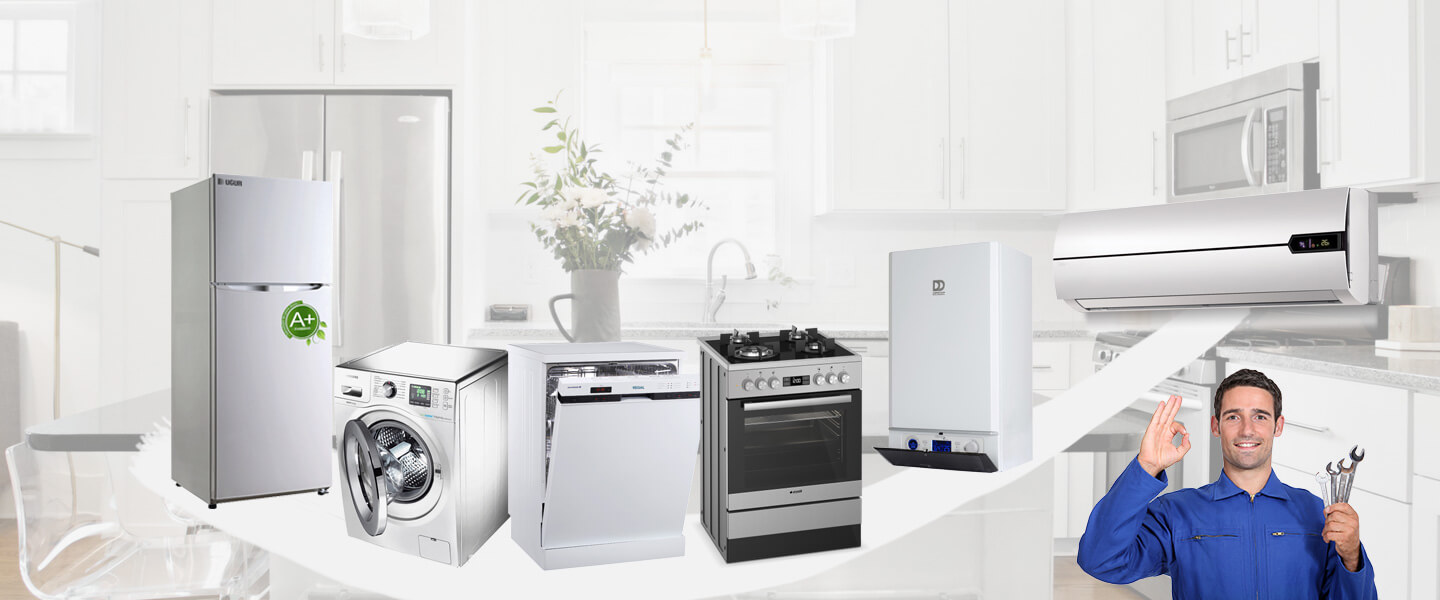 Demirözü Gaggenau Servisi